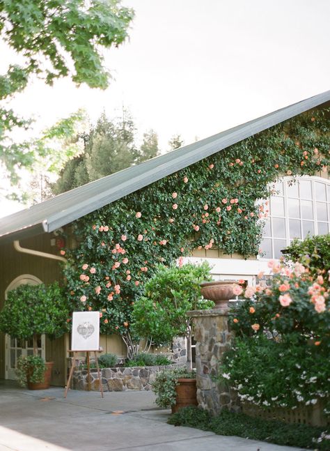 pretty Summer Winery Wedding, Kt Merry, Wine Country Wedding, Into Art, Winery Wedding, Winery Weddings, Wine Country, Style Me Pretty, The Ordinary