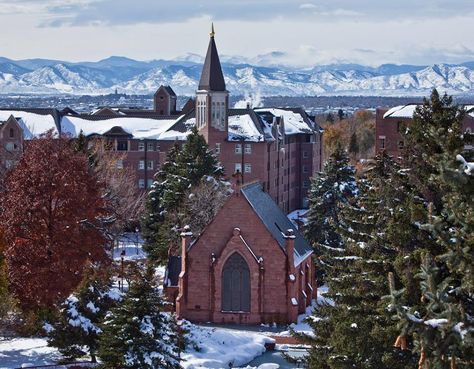 University of Denver in winter . . . BEAUTIFUL! University Of Colorado Denver, University Of Denver, Colorado Winter, School Campus, College Town, University Of Colorado, College School, University Of Washington, College Campus