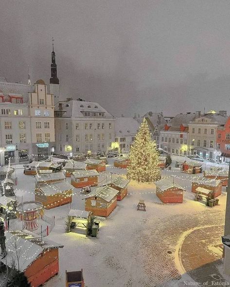 Oslo Norway 🇧🇻🤩🤩🤩 - Nwaegbu Ngozi Gift First Advent, Norway Christmas, Life Goals List, Advent Candle, Tallinn Estonia, Advent Candles, Oslo Norway, Europe Map, Open Door