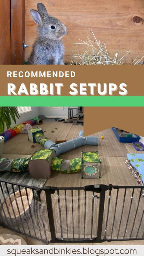 Outdoor Rabbit Toys, Rabbit Shed Ideas Diy, Free Roaming Rabbit Ideas, Pet Rabbit Enclosure, Rabbit Enclosures Indoor, Large Rabbit Enclosure, Inside Rabbit Enclosure, Diy Rabbit Playground, Bunny Area Ideas