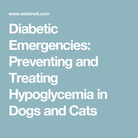 Diabetic Emergencies: Preventing and Treating Hypoglycemia in Dogs and Cats Functional Neurological Disorder, Conversion Disorder, Ms Symptoms, Rare Disorders, Low Blood Sugar, Neurological Disorders, Rare Disease, Health Conditions, Cats And Dogs