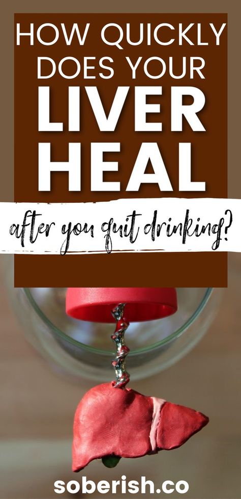 Liver Detox, Alcohol Benefits, Heal Liver, Giving Up Alcohol, Quit Drinking, Drinking Alcohol, The Liver, Liver Health, Healthy Eating Habits