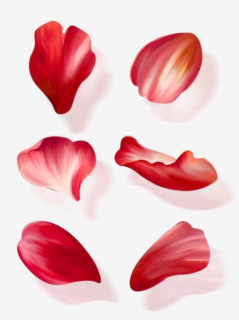 Rose Petals Drawing, Flower Crown Drawing, Flower Petal Art, Flying Flowers, Theme Nature, Red Rose Petals, Rose Illustration, Flowers Petals, Roses Drawing