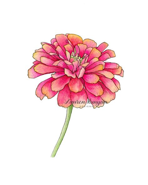 Zinnia Flower Watercolor Painting Pink Floral Wall Art Print | Etsy Zinnia Watercolor, Zinnia Painting, Zinnia Tattoo, Flower Tattoo Arm, Zinnia Flowers, Flower Drawing Tutorials, Watercolor Flowers Tutorial, Watercolor Red, Watercolor Projects