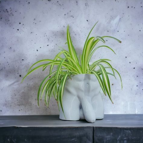 Potting Plants, Lamp Inspiration, Male Torso, Painted Pots, Ceramic Pot, Gag Gifts, Indoor Planters, Body Style, Clay Art