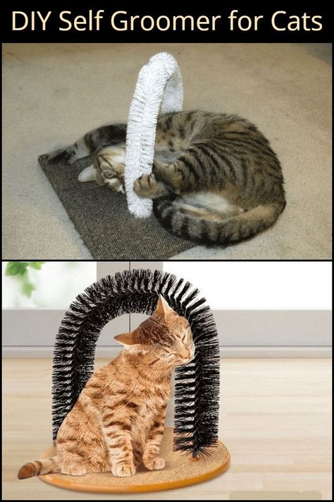 Katt Diy, Katt Grejer, Chat Diy, Kat Diy, Diy Cat Tree, Cat House Diy, Diy Cat Toys, Cats Diy Projects, Cat Playground