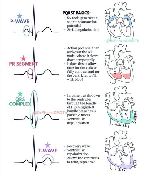 Advanced Emt, Ekg Rhythms, Nursing School Prep, Nursing School Studying Cheat Sheets, Emt Study, Medical Assistant Student, Paramedic School, Nursing School Essential, Nursing School Motivation