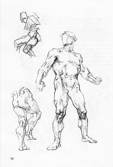 George Brad Art, Bridgman Drawing, Bridgeman Anatomy, Hindbrain Anatomy, Academic Drawing Anatomy, Bridgman Anatomy, George Bridgman Anatomy, George B. Bridgman, George Bridgman Figure Drawing