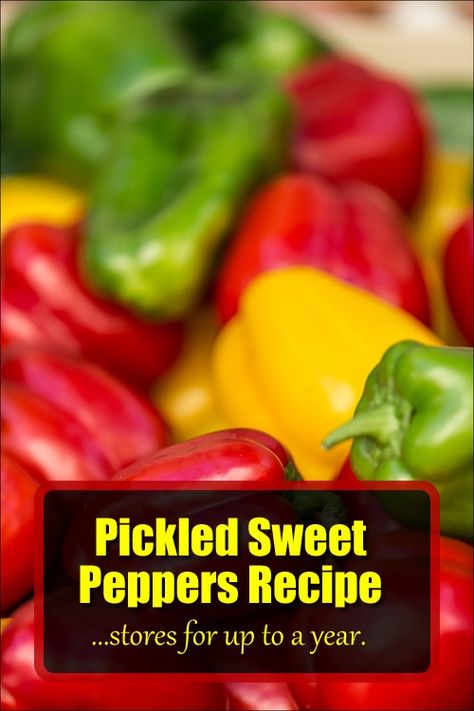 Pickled Sweet Peppers Recipe - stores for up to a year... #pickling #pickled #pickledpeppers #homestead #homesteading#preserving Green Peppers Canning Recipes, Pickel Peppers, Pickled Green Peppers Recipe, Pickled Sweet Peppers Recipe, Pickled Bell Peppers Recipe, Pickled Green Peppers, Sweet Peppers Recipe, Pickled Peppers Recipe, Long Green Peppers