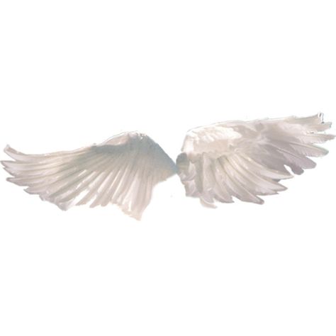 0 Angel Wings Png, Angie Yonaga, Wings Png, Moodboard Pngs, Grunge Tumblr, Twitter Header Photos, Angel Aesthetic, Trigger Happy Havoc, Header Photo