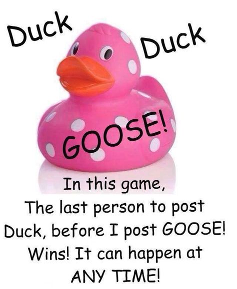 Avon Interactive Posts, Duck Duck Goose Game, Avon Party Ideas, Facebook Party Games, Facebook Group Games, Online Party Games, Norwex Party, Engagement Games, Interactive Facebook Posts