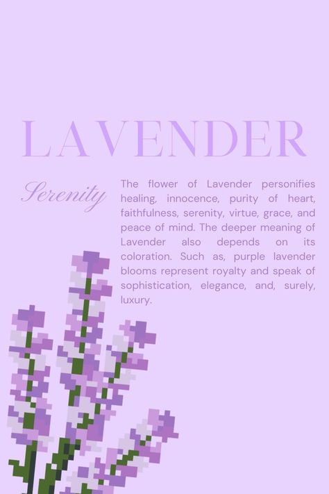 Lilac Flower Bouquet Aesthetic, Lavender Meaning Flower, Lavender Pixel Art, Lavender Bouquet Aesthetic, Soft Lavender Aesthetic Wallpaper, Aesthetic Lavender Flowers, Lavender Flowers Aesthetic, Lavender Aesthetic Flower, Lavender Flower Aesthetic