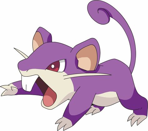 Rattata Pokemon, Aurorus Pokemon, 151 Pokemon, Pokemon Sketch, Shiny Pokemon, Pokemon Collection, Pokemon Teams, All Pokemon, Pokemon Pictures