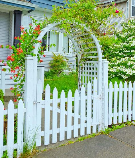 Beautiful white arbor with picket fence Garden Arbor Ideas, White Picket Fence Garden, Reban Ayam, Picket Fence Garden, Arbor Ideas, Garden Gates And Fencing, Garden Gate Design, Front Gate, Garden Arbor