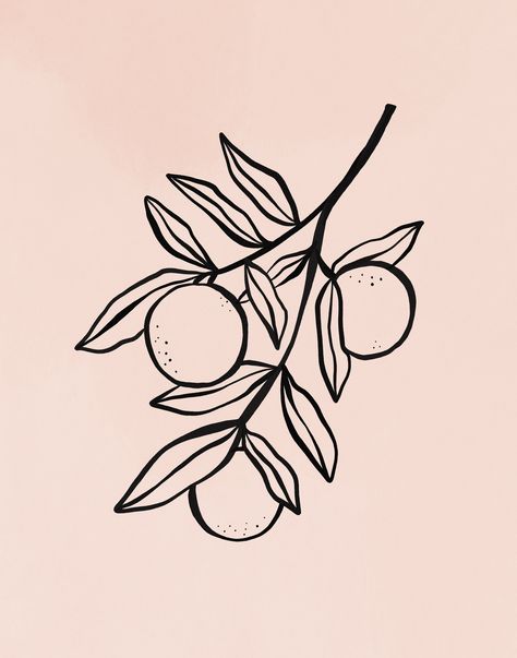 Daisy Curls Drawing Fruit, Oranges Fruit, Fruit Poster, Fruit Tattoo, Branch Tattoo, Fruits Drawing, Vine Tattoos, Plant Tattoo, Line Artwork