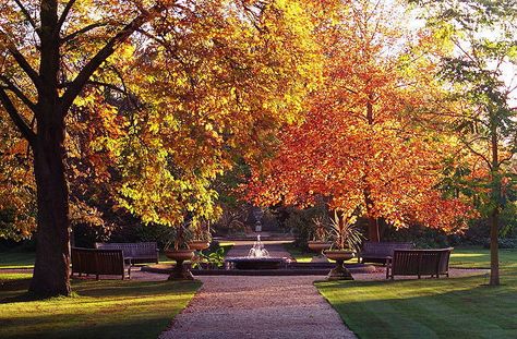 Oxford Botanic Garden – Oxford, England Nature, Nature Screensavers, Oxford Botanic Garden, Fall Landscaping, Lake District England, Gardening Advice, Romantic Weekend, Oxford University, Botanic Garden