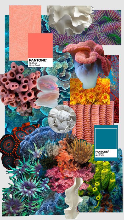 Coral Colour Scheme, Fabrics And Textiles, Textiles Moodboard, Coral Reef Design, Sustainable Fashion Aesthetic Moodboard, Coral Reef Wallpaper, Textile Moodboard, Moodboard Art, Sustainability Art