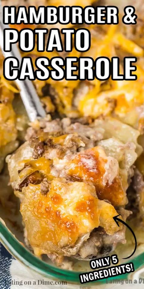 Hamburger Potato Casserole Recipe has everything you need for a great meal. Lots of creamy potatoes and hearty beef make this a hit. Hamburger And Potato Casserole, Best Hamburger Casserole Recipes, Recipes Hamburger, Hamburger Potato Casserole, Hamburger Casseroles Recipes, Creamy Potatoes, Hamburger Dishes, Chicken Honey, Ground Beef Casserole Recipes