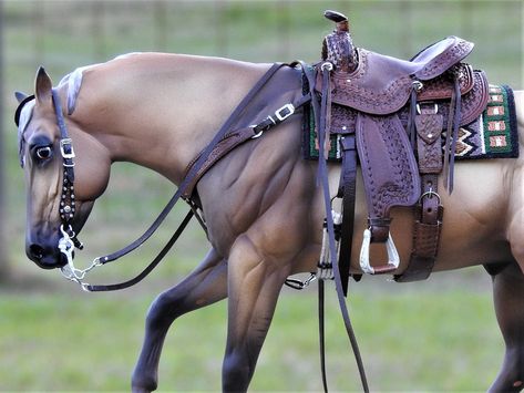 Horse Diorama, Horse Figures, Schleich Horses, Horse Coat Colors, Western Bridles, Breyer Horse, Horse Costumes, Into The West, Western Pleasure