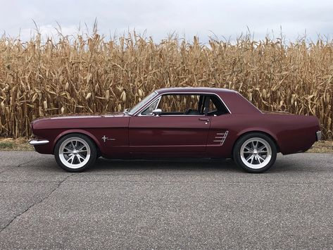 60s Ford Mustang, 1966 Ford Mustang Coupe, 1967 Mustang Coupe, 1965 Mustang Gt, 60s Mustang, Mustang 66, Mustang 1968, 68 Ford Mustang, 66 Ford Mustang