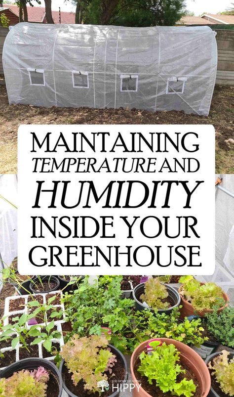 Creating A Greenhouse, Homestead Rescue Greenhouse, What To Put In A Greenhouse, Homemade Greenhouse Diy, Table Top Greenhouse Diy, Home Made Greenhouse, Greenhouse Planting Layout, Greenhouse Humidifier, Green House Interior Ideas