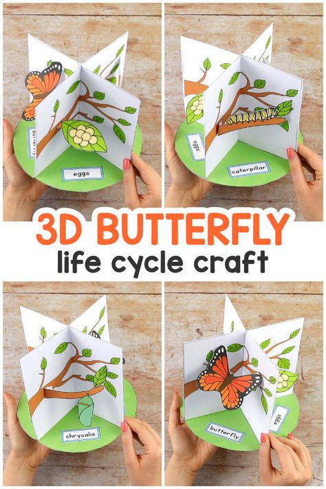 3D Butterfly Life Cycle Craft - Easy Peasy and Fun Butterfly Life Cycle Science Project, Butterfly Cycle Project, Butterflies Life Cycle, 3d Life Cycle Of A Butterfly Craft, Life Cycle Of A Butterfly Craft, Paper Project Ideas, Animal Diorama, Ballet Movement, Cycle Butterfly