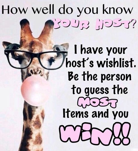 How well do you know your hostess online game How Do You Know The Hostess, Consultant Games, Mary Kay Games, Pure Romance Games, Thirty One Games, Scentsy Party Games, Facebook Party Games, Scentsy Facebook Party, Online Party Games