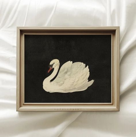 SophiaPrint - Etsy Swan Watercolor, Swan Drawing, Swan Wall Art, Swan Art, Swan Painting, Vintage Swan, Swans Art, Watercolor Printable, Art Minimaliste