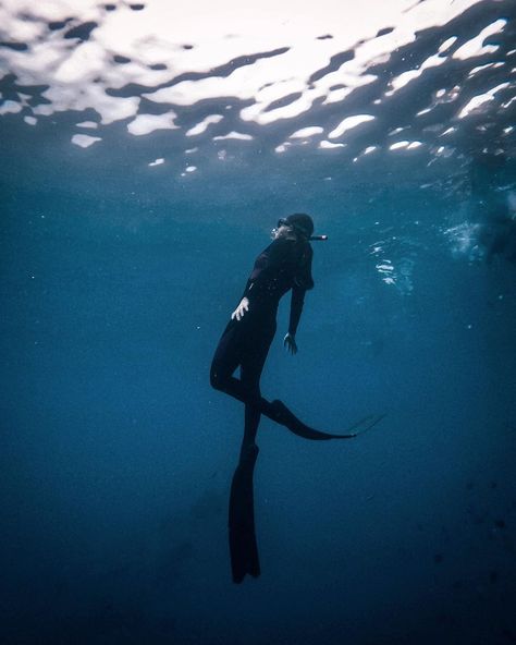 Jemae Valeriano on Instagram: “Last weekend dive with @amlakfreediving ✨ . . . . . #week21 #freediveph #freedivinggirls #freediving” Freminet Aesthetic, Marine Biology Jobs, Diving Aesthetic, Biology Jobs, Chicken Joe, Free Diver, Photo Sport, Swimming Sea, Sea Diving