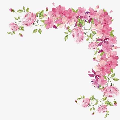 Pink Flower Border Design, Pink Flower Border, Flower Border Clipart, Flower Border Png, Flowers Border, Flower Borders, Box Flowers, Trendy Plants, Pink Png