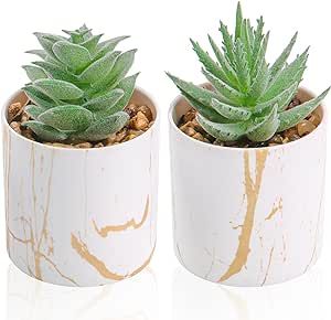 Der Rose Set of 2 Succulents Plants Artificial Mini Fake Succulents Plants for Home Office Desk Accessories for Women Office Plants Desk, Home Office Desk Decor, Desk Accessories For Women, Cute Desk Accessories, Artificial Plants Indoor, Fake Plants Decor, Fake Succulents, Succulents Plants, Plants Succulents