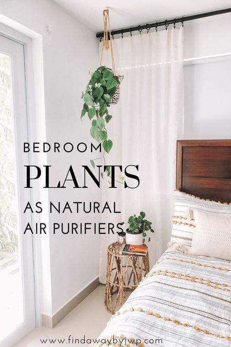 We can use some bedroom plants as natural air purifiers. Some of them remove toxins (benzene, formaldehyde, etc) from the air like spider plants, English Ivy, Lady palm, Chinese evergreen, Peace Lily, etc. Others absorb odors like snake plants and peace lilies. Moreover, there are extremely strong and adaptable to any environment plants in the list like ivy and pothos. Greenery Bedroom, Lady Palm, Peace Lilies, Natural Air Purifier, Snake Plants, English Ivy, Chinese Evergreen, Bedroom Plants, Remove Toxins