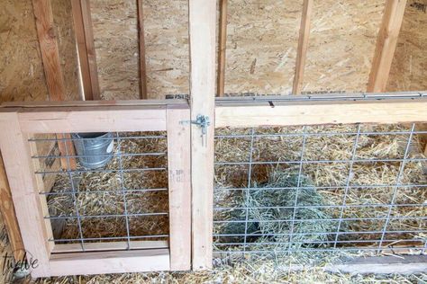 Inside of a goat shed, a separated pen for birthing and separating goats. Sheep Lambing Pens, Small Livestock Barn, Goat Shed Ideas, Goat Barn Layout, Goat Shed, Livestock Barn, Goat Shelter, Goat Pen, Small Goat