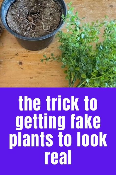 If you're a pro at killing plants check out this easy plant hack to decorate your living room, bedroom, kitchen or entryway with fake plants but make them look expensive and real. Fake Hanging Plants Outdoor, Diy Fake Flowers For Outside, Potting Fake Plants, Fake Plants That Look Real, Planting Fake Flowers Outside, Faux Hanging Plants Outdoor, How To Make Fake Plants Look Real, Using Fake Flowers Outdoors, Fake Outdoor Plants Landscaping