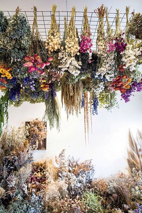 Garden Hanging Plants, Hanging Plants Ideas, Return Of The Living Dead, Allium Flowers, Magia Das Ervas, The Living Dead, Plants Ideas, Flower Room, Dried Flower Wreaths