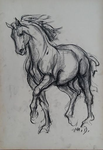 Horse Art Drawing, Horse Sketch, Animal Drawings Sketches, Horse Artwork, Horse Drawing, Horse Drawings, Equine Art, Pencil Art Drawings, Art Drawings Sketches Simple