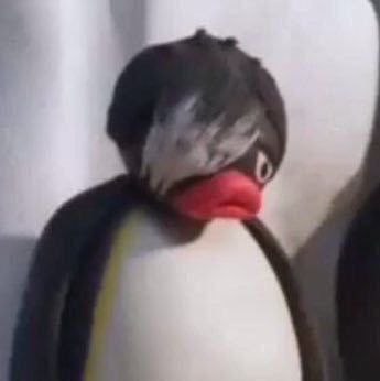 Pingu Memes, Pingu Pingu, Emo Memes, Funny Profile, 웃긴 사진, Funny Profile Pictures, Wholesome Memes, Funny Reaction Pictures, Cute Memes