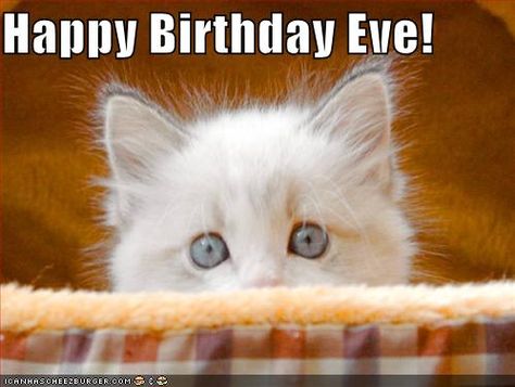 Happy Birthday Eve! Happy Birthday Eve, Birthday Eve, Funny Birthday Meme, Birthday Wishes For Daughter, Funny Nurse Quotes, Happy Birthday Meme, Happy Birthday Funny, Funny Happy Birthday, Kitten Pictures