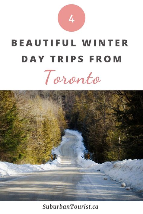 Toronto Winter, Alberta Travel, Couples Vacation, Explore Canada, Lake Ontario, Winter Hiking, Winter Scenery, Winter Vacation, Activities To Do