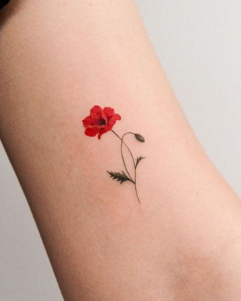 Poppy Flower Tattoo Small, Simple Poppy Tattoo, Poppy Tattoo Small, Red Poppy Tattoo, Botanisches Tattoo, Poppy Flower Tattoo, Virgo Tattoo Designs, 16 Tattoo, Virgo Tattoo