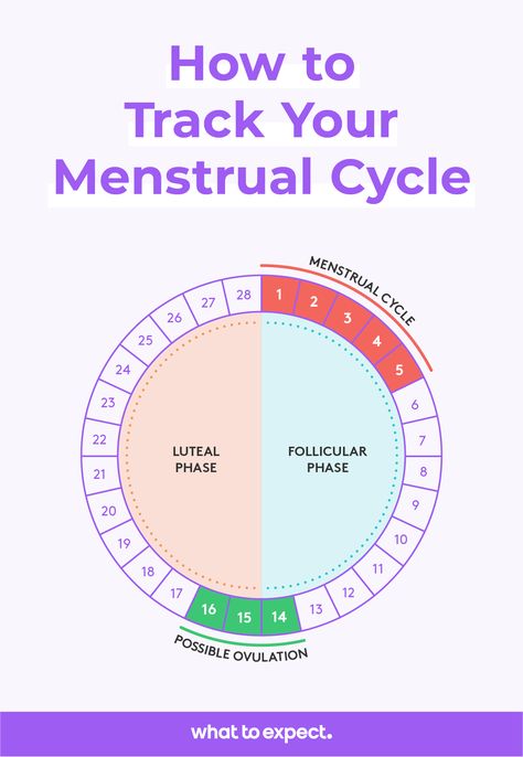 Trying to have a baby? Tuning into your body’s subtle signals to know when you’re ovulating can boost your chances of conceiving. Read more here on when's the best time in your cycle to get pregnant, how to track your menstrual cycle and more. Best Time To Get Pregnant, Menstrual Cycle Chart, Tracking Menstrual Cycle, Natural Birth Control, Ovulation Cycle, Monthly Cycle, Ovulation Tracking, Fertility Awareness Method, Fertility Awareness