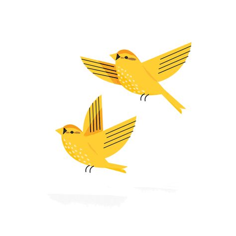 Yellow Bird Illustration ~ Mary Wald's Place -  sarah abbott. illustration, bird, simple, graphic, drawing, yellow Sarah Abbott, Yellow Birds, Illustration Kunst, 동화 삽화, Bird Graphic, Abstract Illustration, Yellow Bird, Simple Illustration, Screenprinting