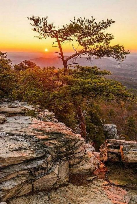 Hanging Rock, Fairy Queen, Man Up, Wild Nature, Young Men, Camping Experience, Pretty Places, The Next Generation, Beautiful Sunset