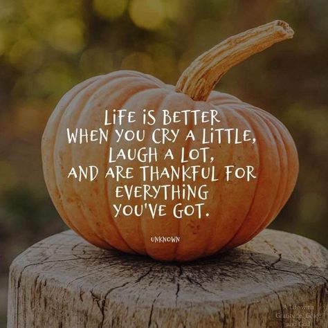 November Quotes, Thankful Quotes, Thanksgiving Wishes, Autumn Pumpkins, Weekday Quotes, Thanksgiving Images, Thankful Thursday, Thankful Heart, Happy Thanksgiving Quotes