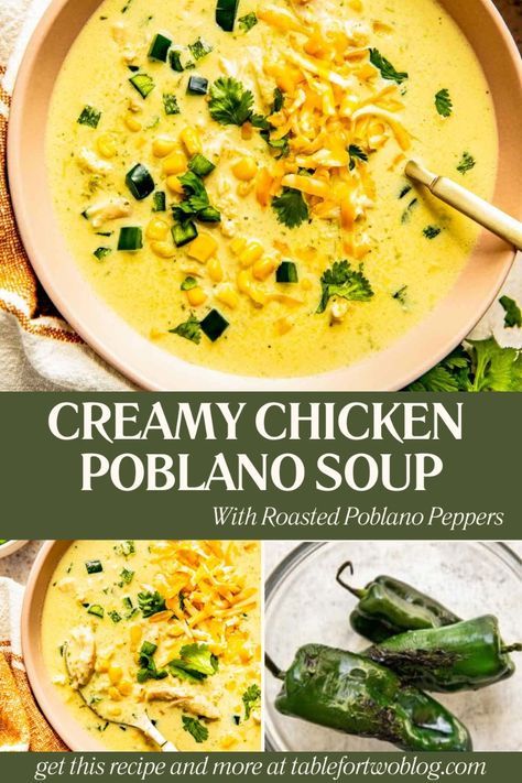 Warm up with our Creamy Chicken Poblano Soup! 🥣🌶️  This hearty and zesty soup is perfect for chilly days. Quick to make and filled with comforting flavors, it's sure to become a favorite.  Try it out and let me know how you like it! Chicken Chile Relleno Soup, Instant Pot Chicken Poblano Soup, Poblano Chicken Chili, Cheesy Poblano Soup, Chilli Relleno Soup, Poblano Chicken Chowder Soup, Poblano Cream Soup, Chicken Poblano Casserole, Poblano Chicken Soup