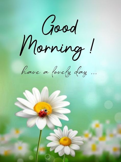 Special Good Morning, Good Morning Greeting Cards, Good Morning Nature, Good Morning Images Hd, Good Morning Wallpaper, Good Morning Beautiful Pictures, Good Morning Friends Images, Good Morning Beautiful Images, Beautiful Morning Messages