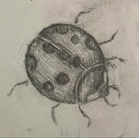 Beetle Drawing Reference, How To Draw A Ladybug, Easy Bug Drawing, Simple Bug Drawing, Easy Ladybug Drawing, Bugs Sketch, Bug Sketches, Ladybug Sketch, Ladybug Drawings