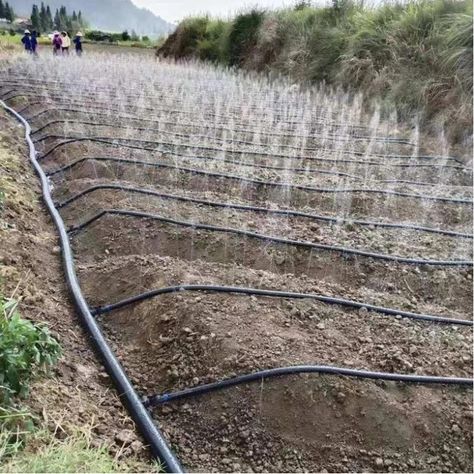 agriculture irrigation system farm irrigation sprinkler hose micro spray tape garden rain hose https://m.alibaba.com/product/1600303433211/agriculture-irrigation-system-farm-irrigation-sprinkler.html?__sceneInfo={"cacheTime":"1800000","type":"appDetailShare"} Irrigation System Diy, Sprinkler Hose, Greenhouse Farming, Garden Watering System, Water Irrigation, Sprinkler Irrigation, Small Vegetable Gardens, Garden Farm, Vegetable Garden Diy