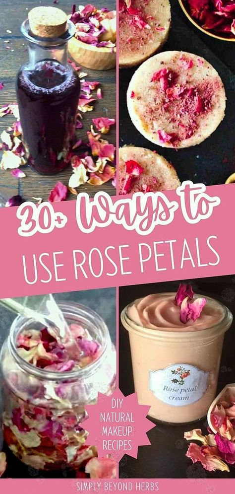 Embrace the versatility of rose petals with more than 30 DIY uses for enhancing your skin and hair's health and beauty. From soothing skin to revitalizing hair, discover the centuries-old secrets of roses as healing flowers. Ideal for those crafting homemade skin care or seeking natural remedies. Find extensive rose recipes, rose petal recipes, and DIY natural makeup at simplybeyondherbs.com. Rose Petal Uses Diy, What To Do With Old Rose Petals, What To Make With Rose Petals, Crafts With Rose Petals, Things To Do With Roses, Dried Flower Petal Ideas, Diy Beauty Products Recipes, Things To Do With Rose Petals, Dried Rose Petals Ideas