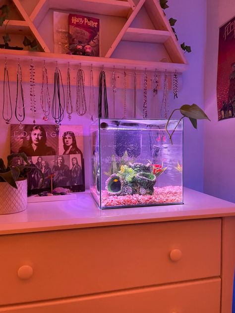 Small Fish Tanks In Bedroom, Fish Tanks In Bedrooms, Bedroom Fish Tank Ideas, Fish Tank Shelves, Fish Tank In Room, Fish Tanks Aesthetic, Aquarium Room Ideas, Betta Fish Tank Aesthetic, Room With Fish Tank